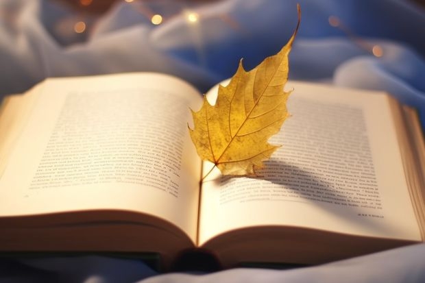 杭州师范大学艺术类录取分数线是多少？