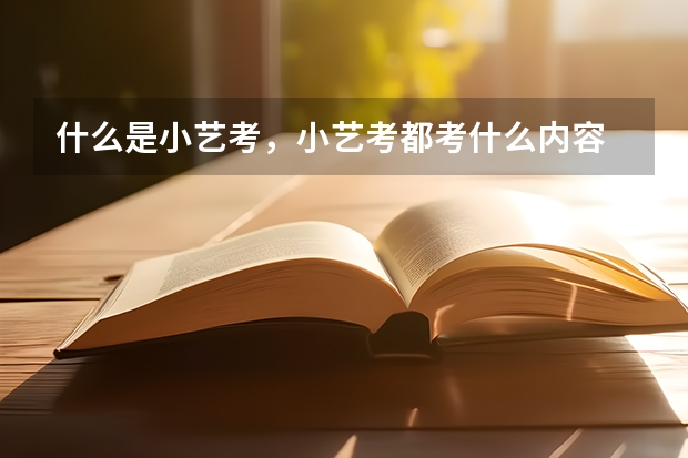什么是小艺考，小艺考都考什么内容
