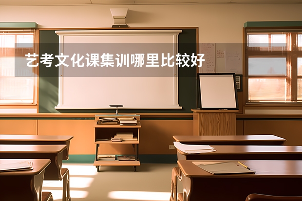 艺考文化课集训哪里比较好