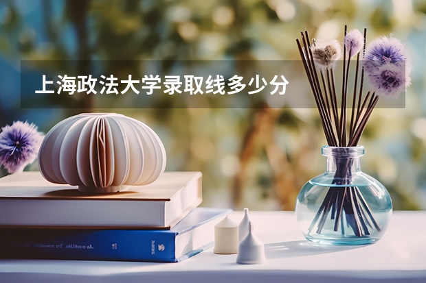 上海政法大学录取线多少分