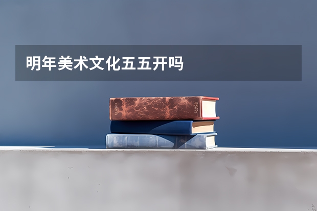 明年美术文化五五开吗