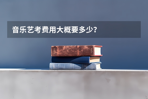 音乐艺考费用大概要多少？