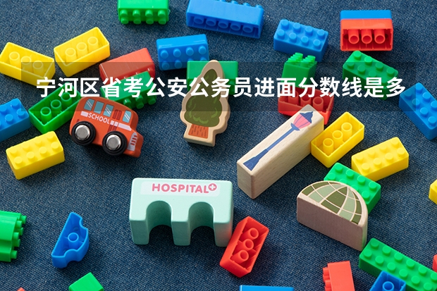 宁河区省考公安公务员进面分数线是多少