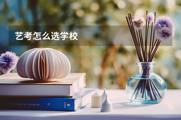 艺考怎么选学校