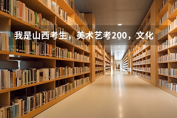 我是山西考生，美术艺考200，文化课246，能上什么学校？