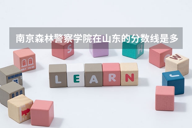 南京森林警察学院在山东的分数线是多少