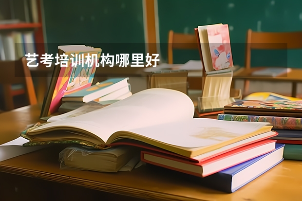 艺考培训机构哪里好