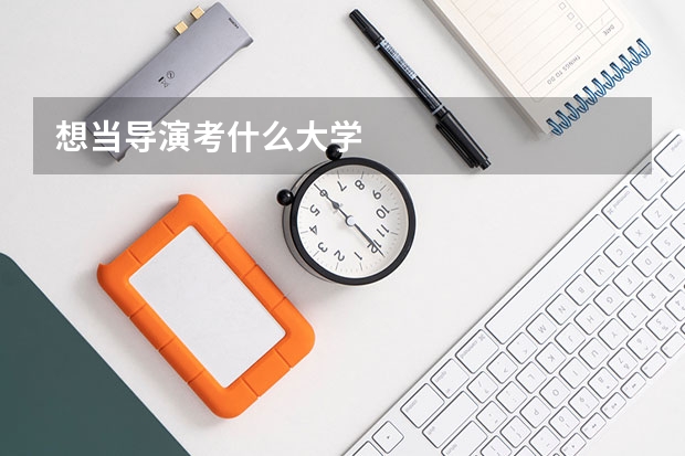 想当导演考什么大学