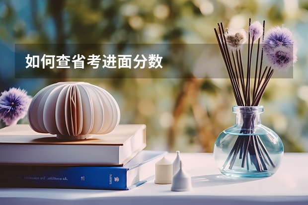 如何查省考进面分数