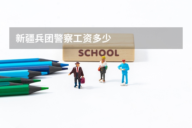 新疆兵团警察工资多少