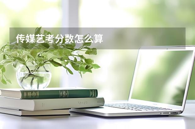 传媒艺考分数怎么算