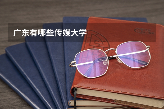 广东有哪些传媒大学