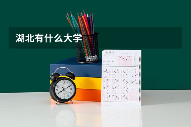 湖北有什么大学