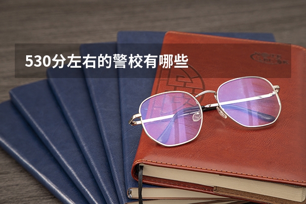 530分左右的警校有哪些