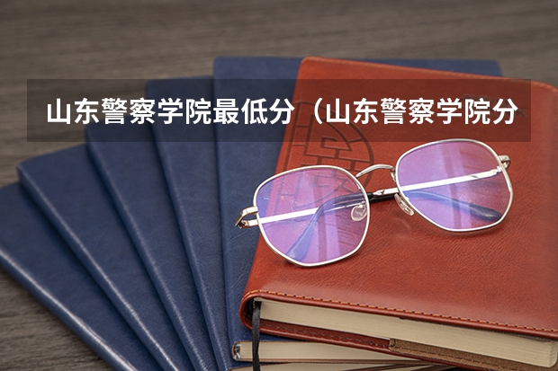 山东警察学院最低分（山东警察学院分数线）