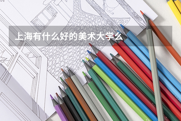 上海有什么好的美术大学么