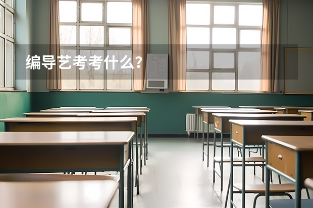 编导艺考考什么?