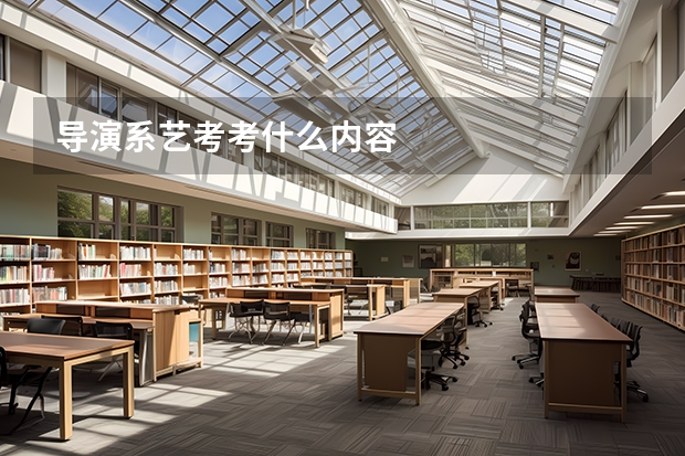 导演系艺考考什么内容