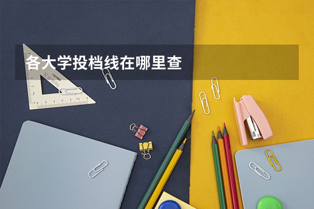各大学投档线在哪里查