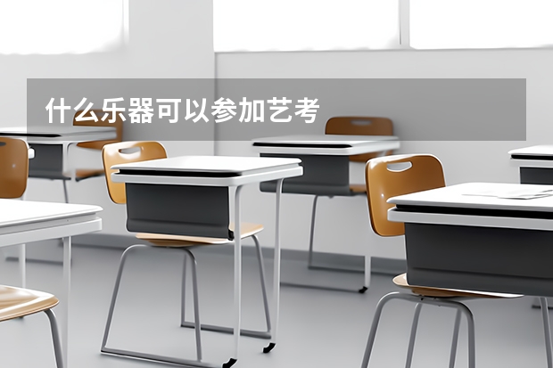 什么乐器可以参加艺考