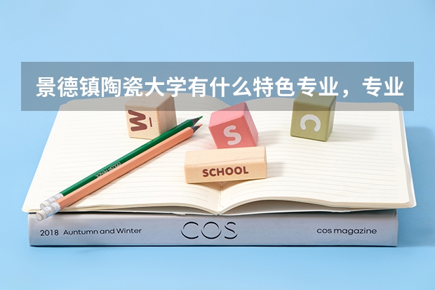 景德镇陶瓷大学有什么特色专业，专业排名如何