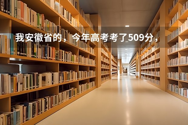 我安徽省的,今年高考考了509分,我是文科生,比二本线高8分,请问我能在安徽省内上哪些比较好的学校?