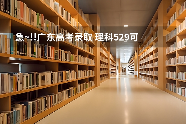 急~!!广东高考录取 理科529可以上茂名学院吗