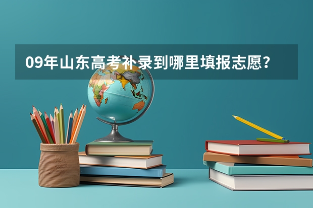 09年山东高考补录到哪里填报志愿？