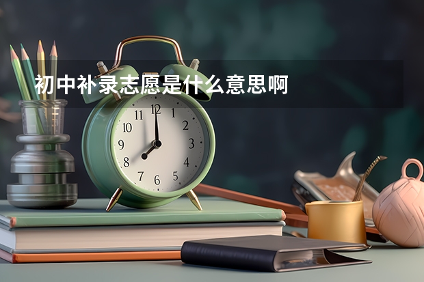 初中补录志愿是什么意思啊