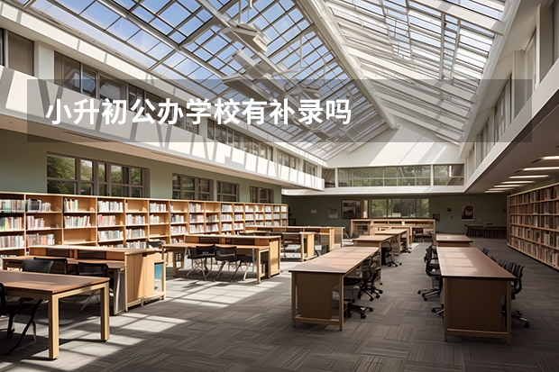 小升初公办学校有补录吗