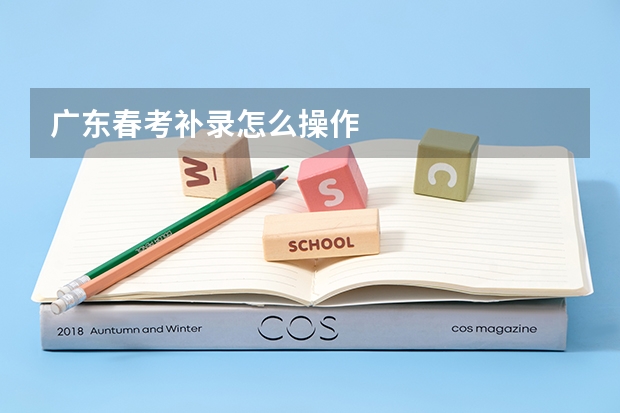 广东春考补录怎么操作