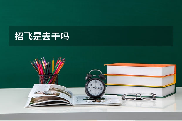 招飞是去干吗
