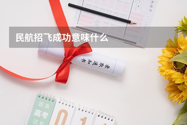 民航招飞成功意味什么