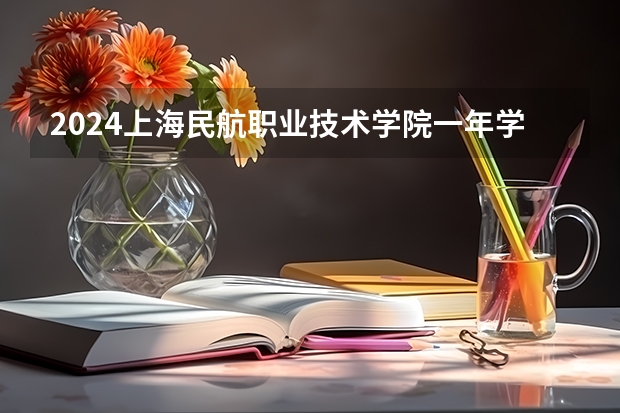 2024上海民航职业技术学院一年学费多少钱及各专业收费标准