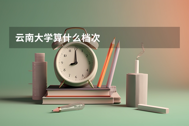 云南大学算什么档次