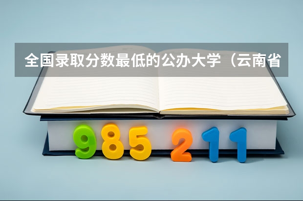 全国录取分数最低的公办大学（云南省各大学录取分数线2022）