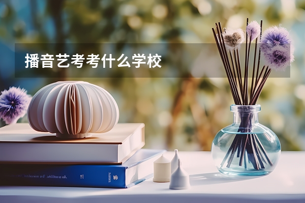 播音艺考考什么学校