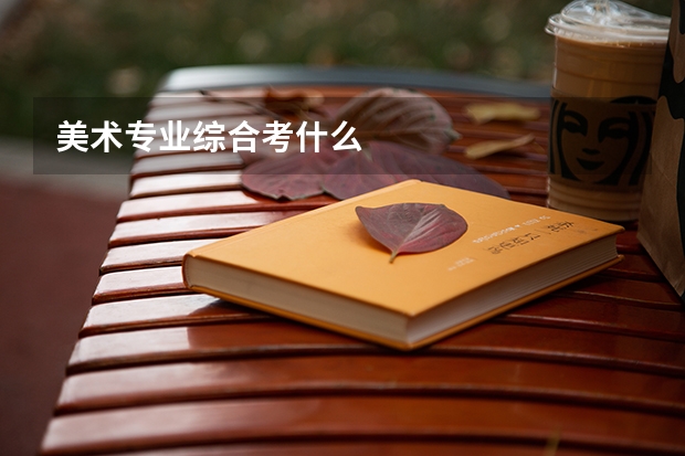 美术专业综合考什么