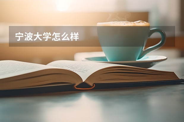 宁波大学怎么样